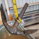 An anchor that’s at least 160 years old just came out of the Savannah River.
